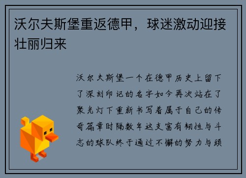 沃尔夫斯堡重返德甲，球迷激动迎接壮丽归来